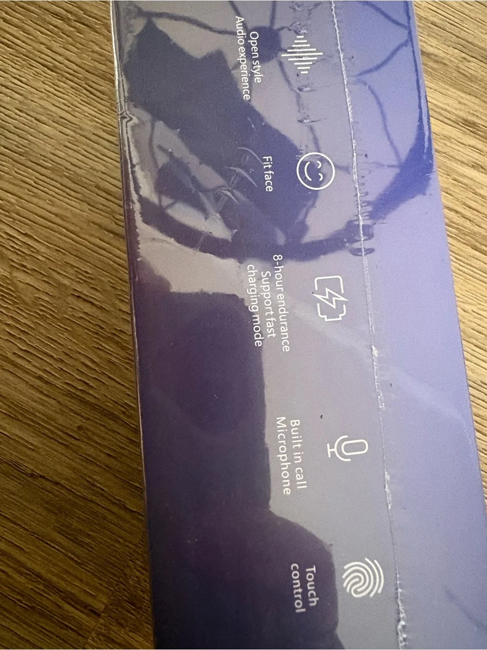 AI Sunglasses